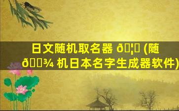 日文随机取名器 🦋 (随 🌾 机日本名字生成器软件)